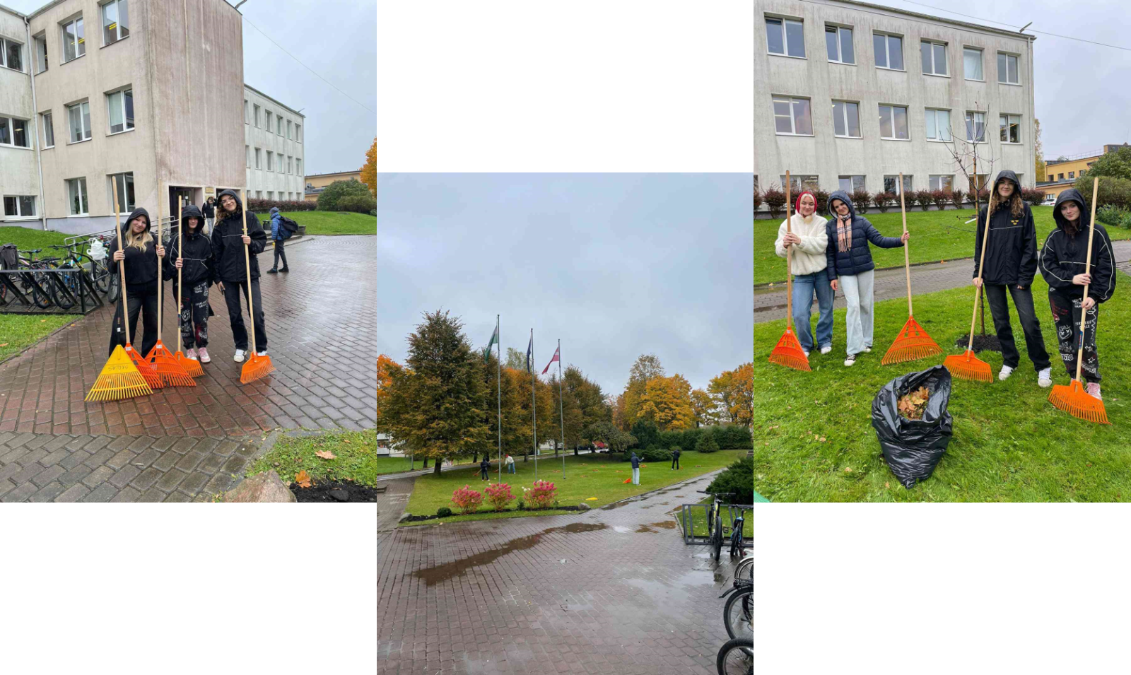 Skolēni grābj lapas