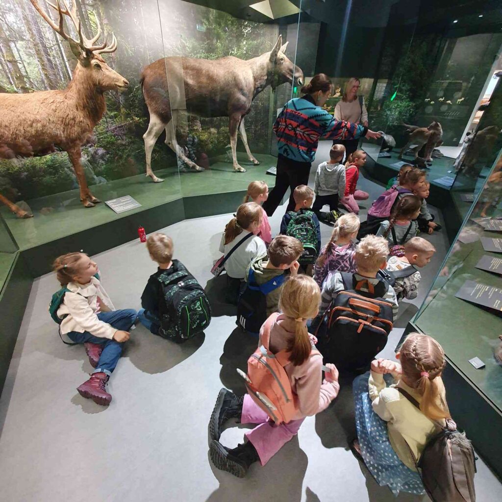 Skolēni iepazīst meža iemītniekus