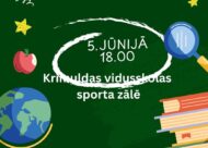 Svinības 9.kl.