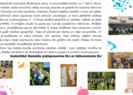 Radošuma diena
